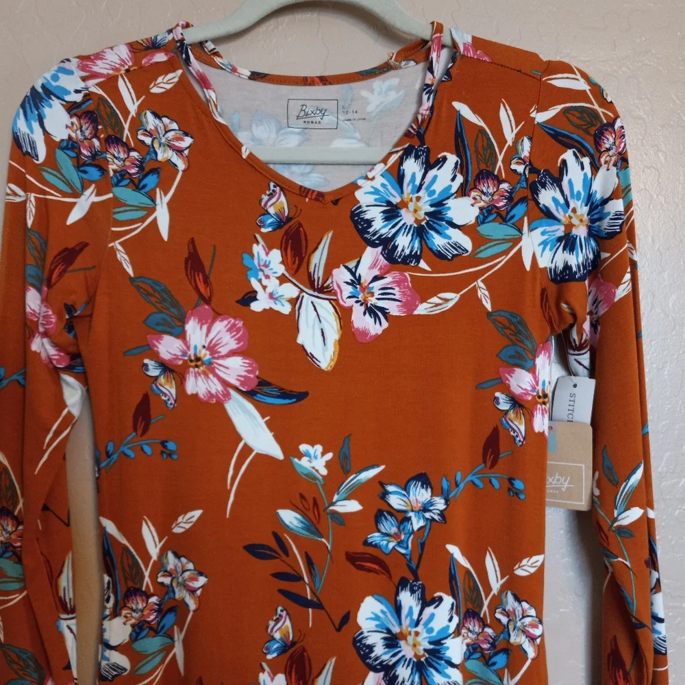Stitch Fix Bixby Nomad Alyza Floral Long Sleeve Swing Dress